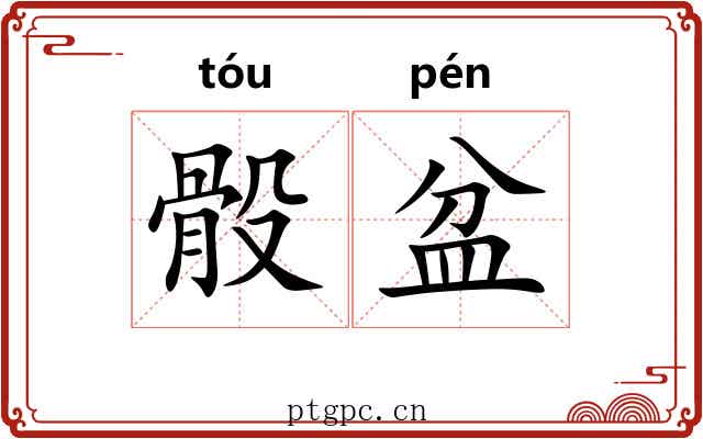 骰盆