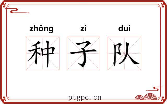 种子队 种子队