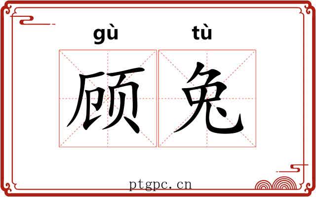 顾兔 顾兔