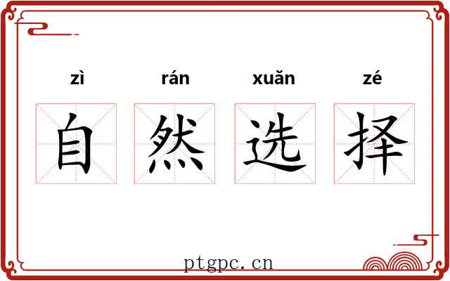 自然选择 自然选择