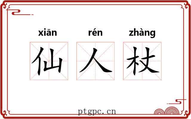 仙人杖 仙人杖