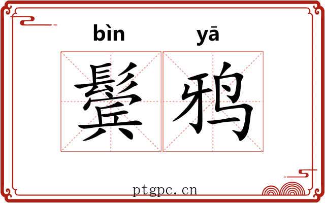 鬓鸦