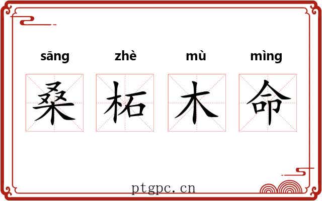 桑柘木命