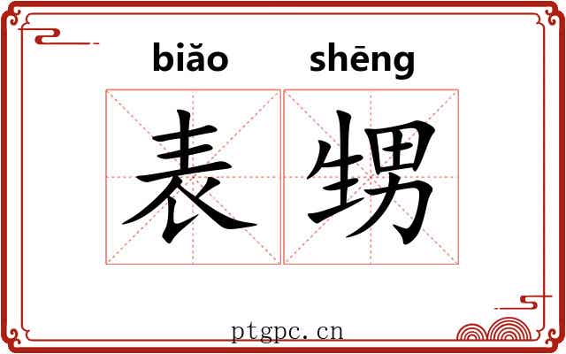 表甥
