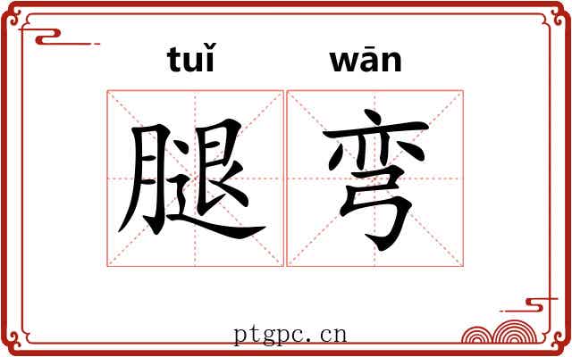 腿弯