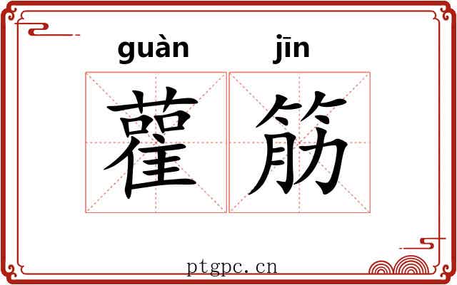 雚筋