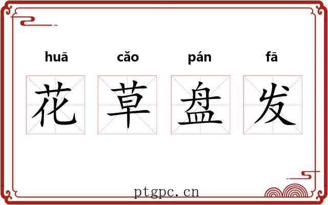 花草盘发