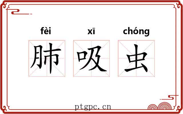 肺吸虫