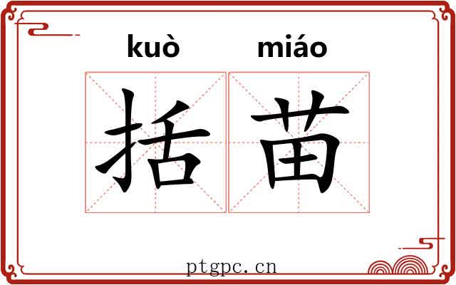 括苗 括苗