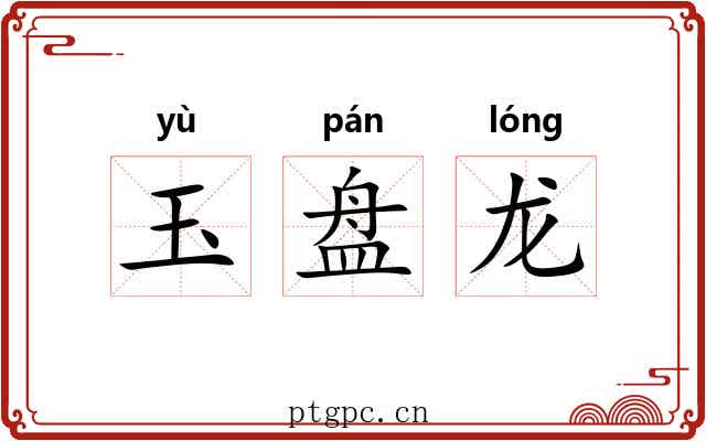 玉盘龙 玉盘龙