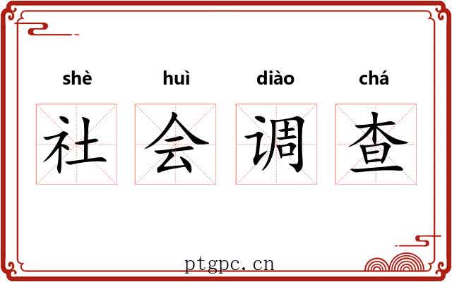 社会调查