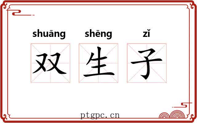 双生子 双生子