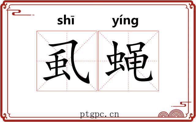 虱蝇