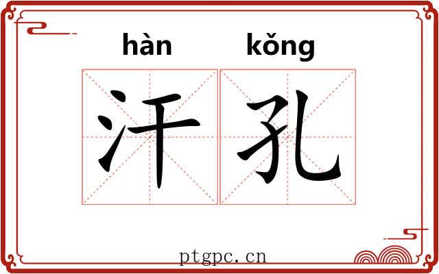 汗孔