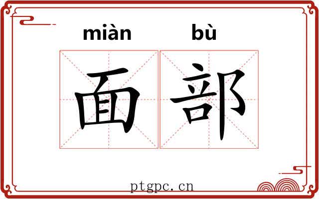 面部 面部