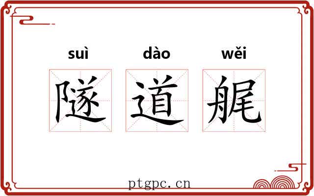 隧道艉 隧道艉