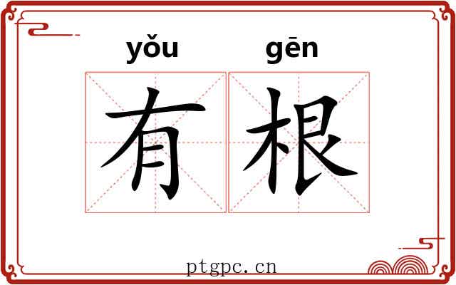 有根 有根