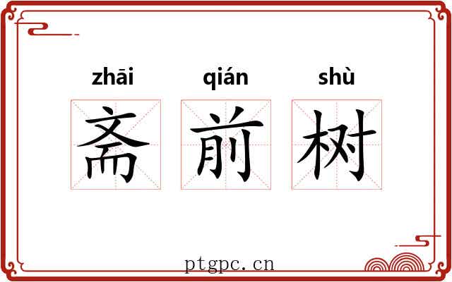 斋前树 斋前树