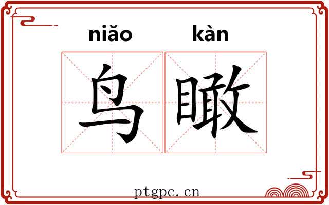 鸟瞰