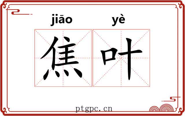 焦叶 焦叶