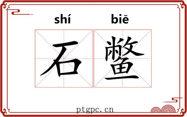 石鳖
