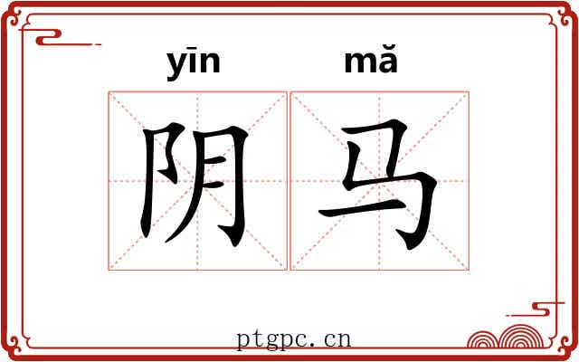 阴马 阴马