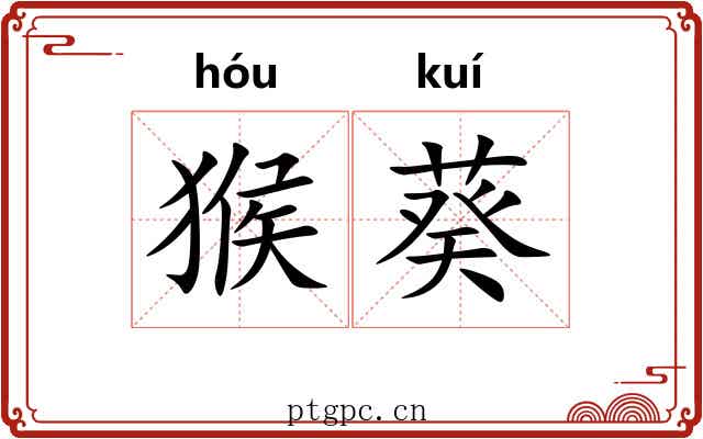 猴葵 猴葵