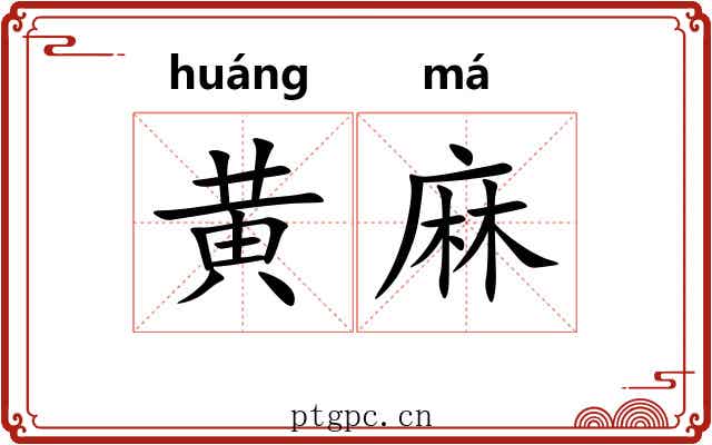 黄麻 黄麻