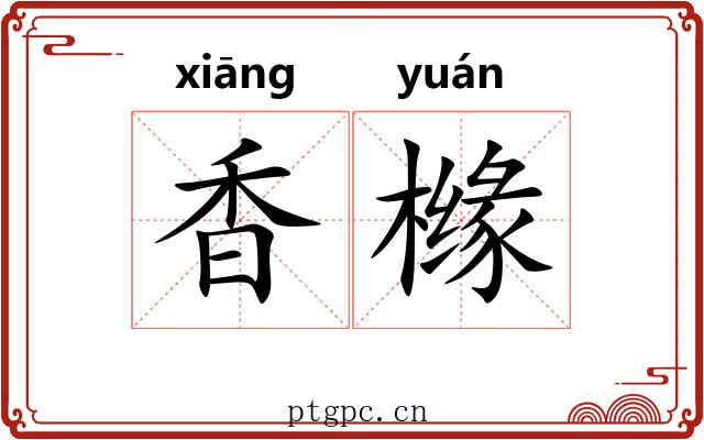 香橼
