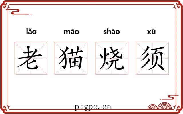 老猫烧须