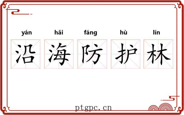 沿海防护林 沿海防护林