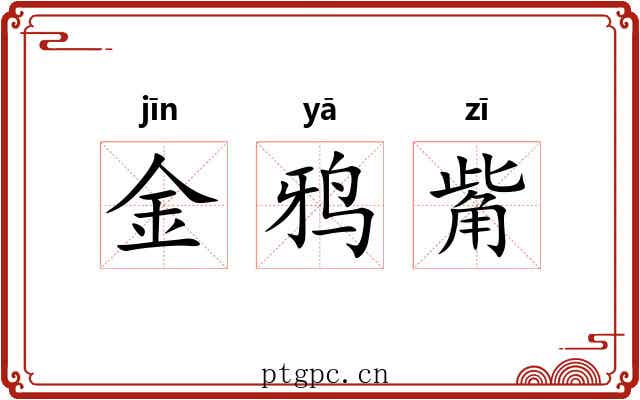 金鸦觜