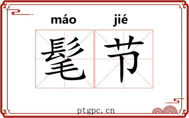 髦节 髦节