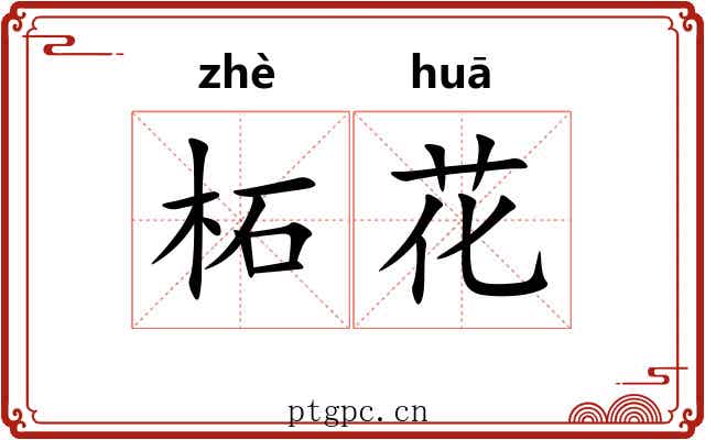 柘花 柘花