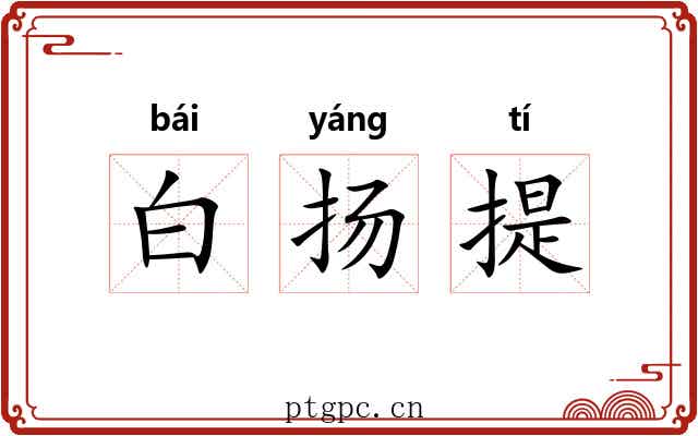 白扬提 白扬提
