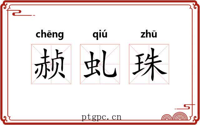 赪虬珠 赪虬珠
