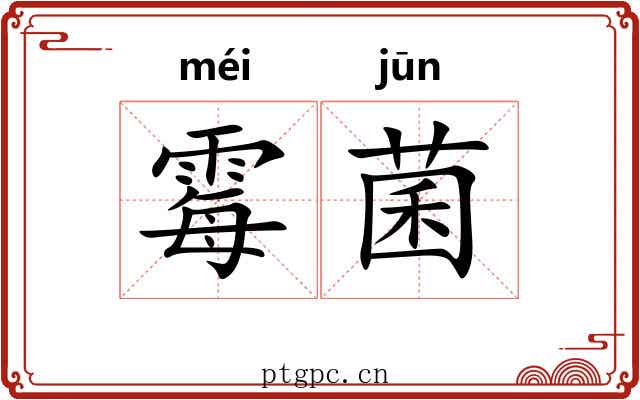 霉菌