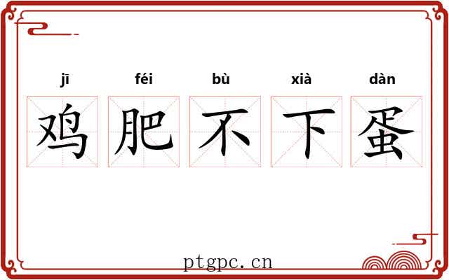 鸡肥不下蛋 鸡肥不下蛋