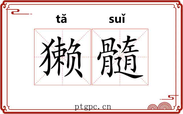 獭髓