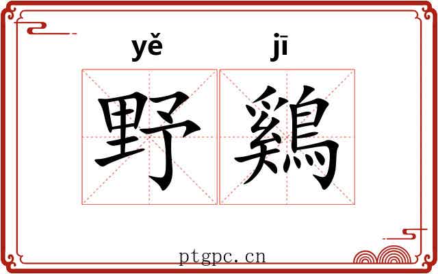 野鷄 野鷄