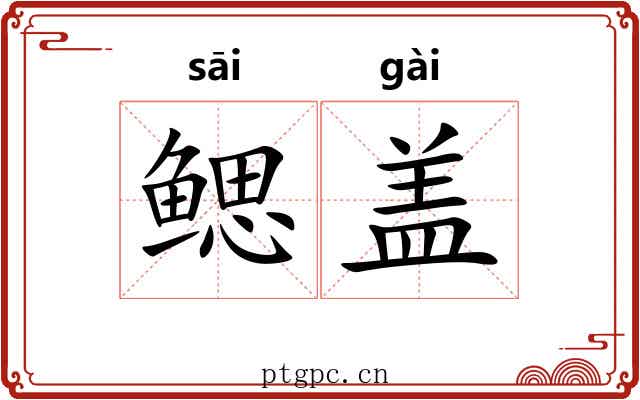 鳃盖