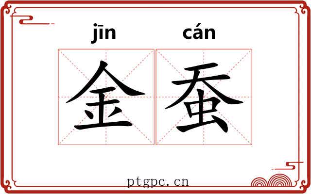金蚕 金蚕