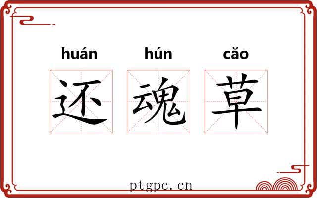 还魂草