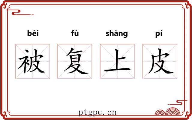 被复上皮