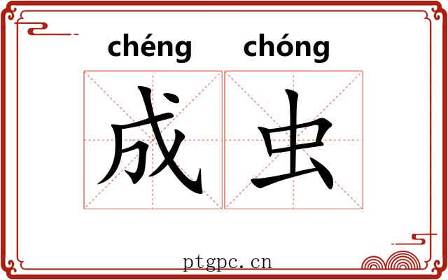 成虫