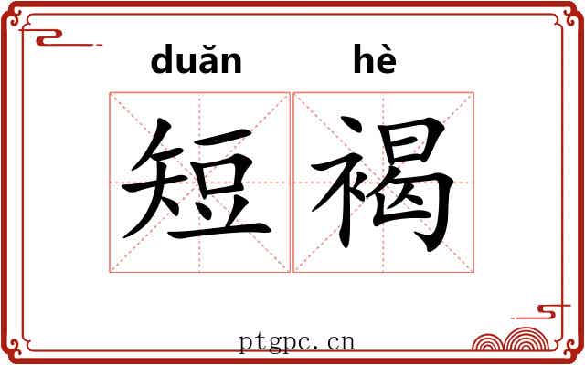 短褐