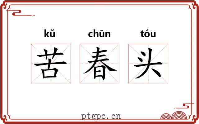 苦春头 苦春头