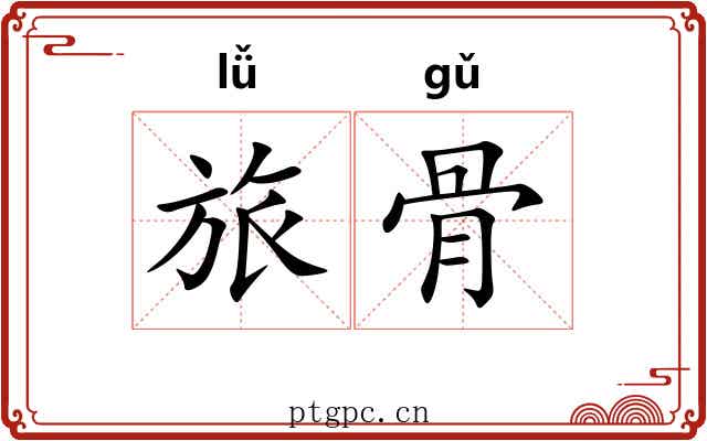 旅骨 旅骨