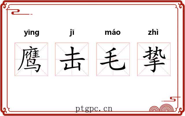 鹰击毛挚 鹰击毛挚