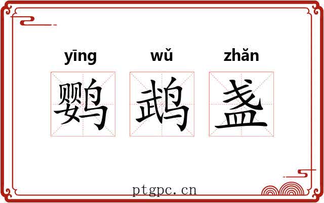 鹦鹉盏